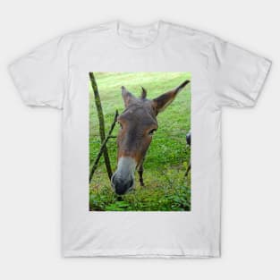 THE PANASONIC FZ 1000  PAR OKAIO CREATION T-Shirt